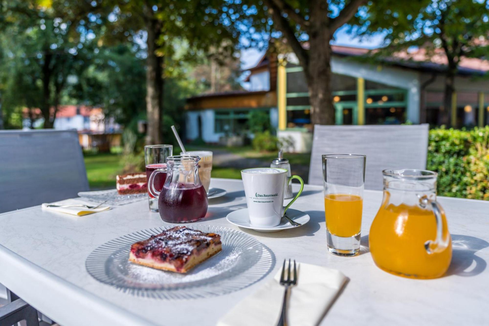 Hotel Das Bayerwald Lam Eksteriør billede